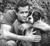 写真 #23：瑞安·雷诺兹 Ryan Reynolds