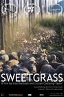 香草/Sweetgrass(2009)