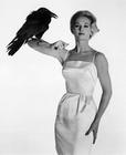 写真 #0006：蒂比·海德莉 Tippi Hedren