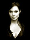 写真 #233：安吉丽娜·朱莉 Angelina Jolie