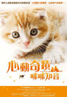 小猫奇缘 海报(香港)