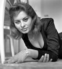 写真 #29：索菲娅·罗兰 Sophia Loren