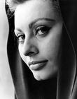 写真 #24：索菲娅·罗兰 Sophia Loren