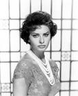 写真 #35：索菲娅·罗兰 Sophia Loren
