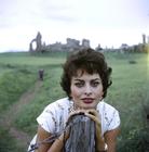 写真 #42：索菲娅·罗兰 Sophia Loren