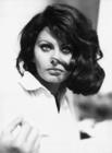 写真 #51：索菲娅·罗兰 Sophia Loren