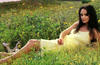 写真 #51：瑞切尔·蕾·库克 Rachael Leigh Cook