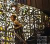 写真 #48：傅颖 Theresa Fu