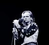 生活照 #04：克劳斯·金斯基 Klaus Kinski