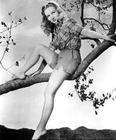 写真 #18：维罗妮卡·莱克 Veronica Lake