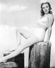 写真 #19：维罗妮卡·莱克 Veronica Lake