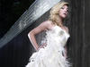 写真 #31：布兰特妮·斯诺 Brittany Snow
