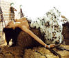 写真 #73：泰瑞·海切尔 Teri Hatcher