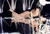 写真 #116：泰瑞·海切尔 Teri Hatcher