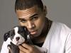 写真 #0001：克里斯·布朗 Chris Brown