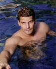 写真 #31：大卫·伯伦纳兹 David Boreanaz