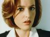 吉莲·安德森/Gillian Anderson