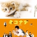桌面 #01 省略图