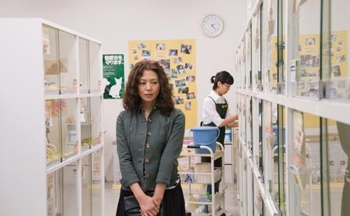 咕咕是一只猫gu+gu+the