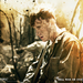 太平洋战争/The Pacific(2010) 桌面 #wallpaper-sledge-1600