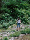写真 #343：宫崎葵 Aoi Miyazaki