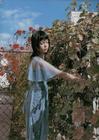 写真 #349：宫崎葵 Aoi Miyazaki