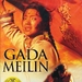 DVD封套 #02 省略图