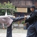工作照 #01 省略图