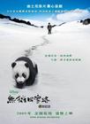熊猫回家路 海报 #05