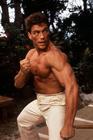 生活照 #0018：尚格·云顿 Jean-Claude Van Damme