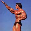生活照 #0012：阿诺·施瓦辛格 Arnold Schwarzenegger