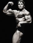 写真 #0039：阿诺·施瓦辛格 Arnold Schwarzenegger