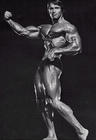写真 #0041：阿诺·施瓦辛格 Arnold Schwarzenegger