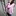 Lily 2334105