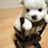 for？lee 1034106