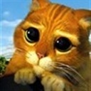 Kevin 1433063