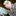 船长