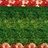 ww 1739158