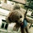 Miss ha 2003181