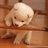 peanut 1231214