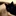 camil... 129223