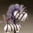 zebra 845224