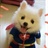 午夜盟友 1505272