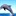 海豚 1031294