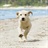 lovefilm 1455374