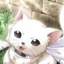 悄悄 1123524
