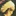 ddYAP 1889536