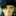 Apple 1573541