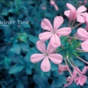小球 1073576