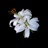 zzf 929629